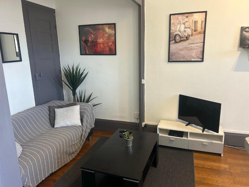 Spacieux cosy - 1 chambre Appartement - LYON Perrache Confluence 50 M2 - 2