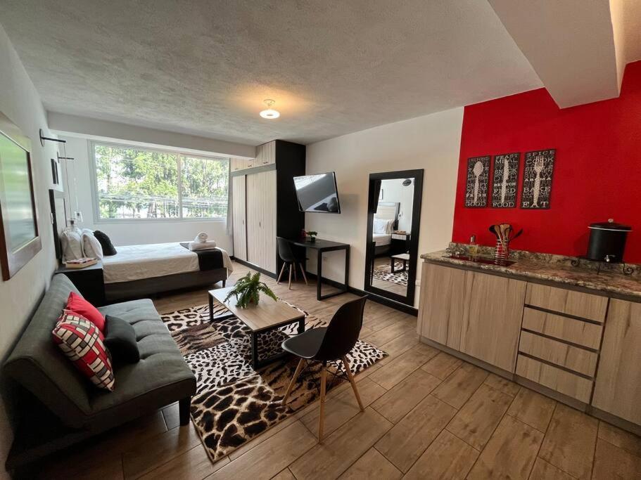 DST2 Nice studio in zone 15, Guatemala