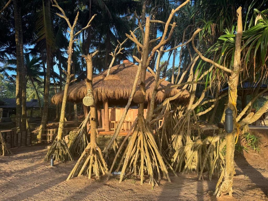 Coconut Bar, Bentota