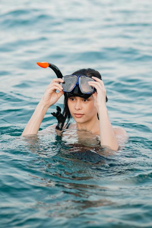 อาหารและเครื่องดื่ม