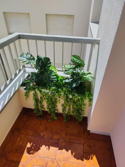 Apartamento Chenlo - 3