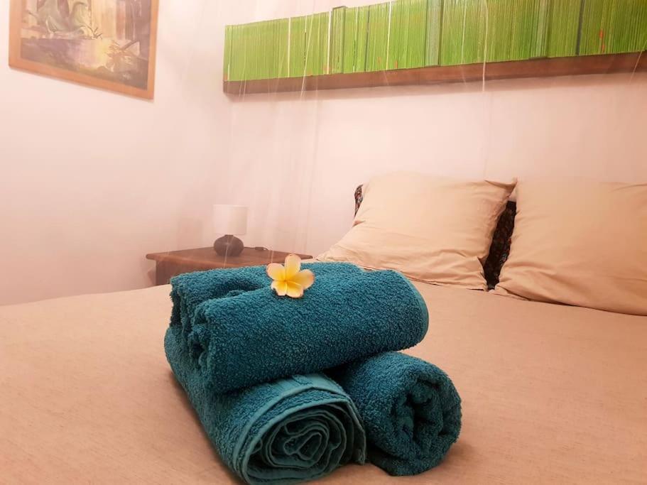 Cactus Om'stay Studio jacuzzi Vallée du loup - 4
