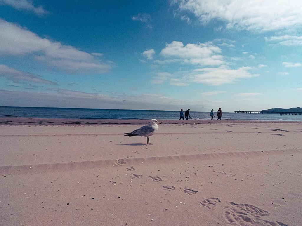 Surrounding environment