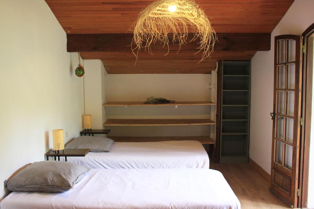 Yacumama Guesthouse - 4