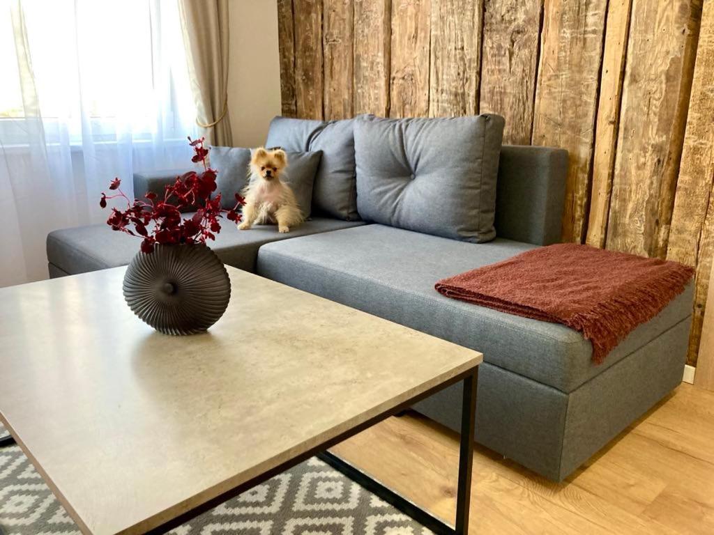 Tikrai nelis, Liepāja