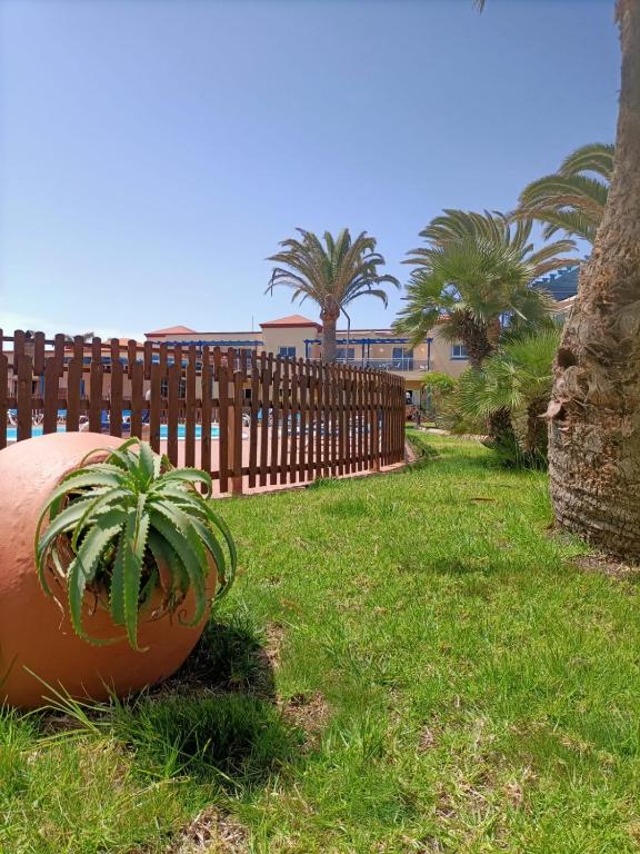 CASA ANITA, pool sea and surf in Corralejo - 4
