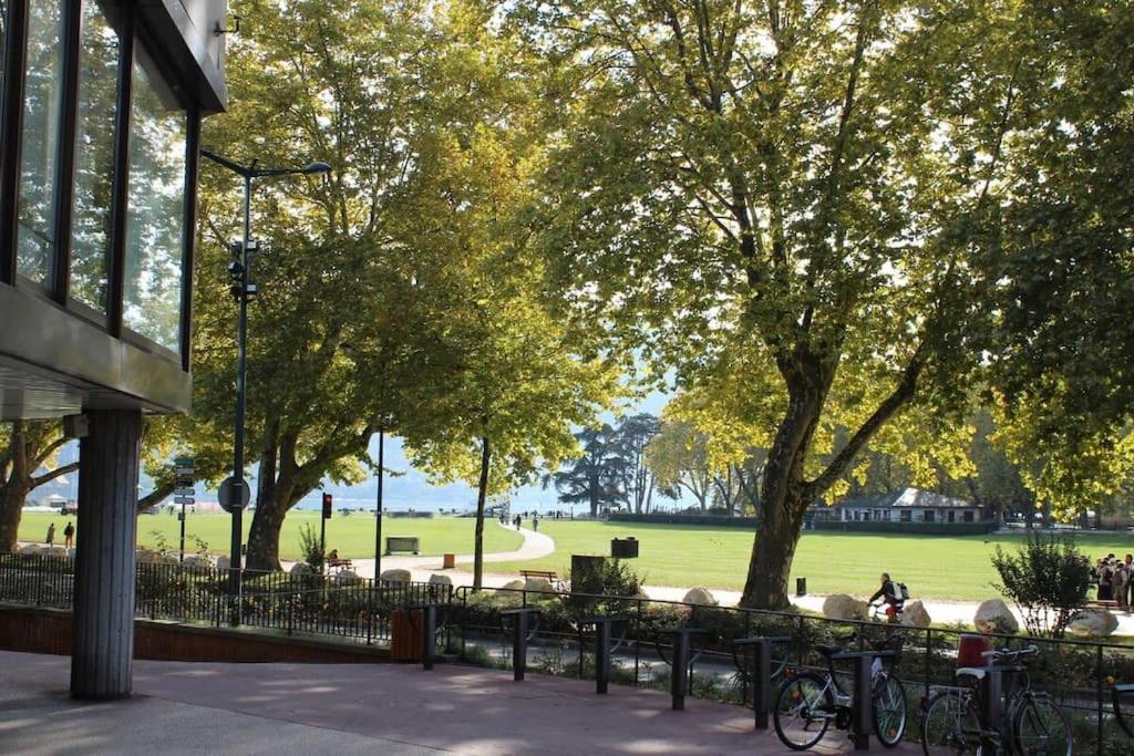 L'Emeraude du lac le calme au coeur d'Annecy - 1