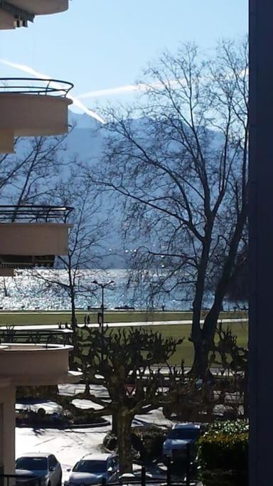 L'Emeraude du lac le calme au coeur d'Annecy - 5