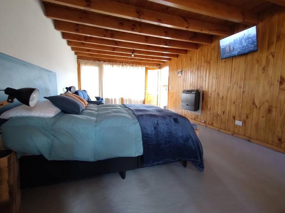 Monoambiente Araucaria - 3