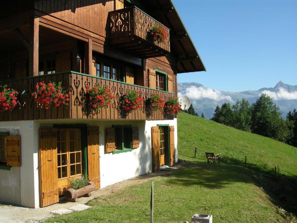 Chalet Marie Paradis vue Mont Blanc - 1