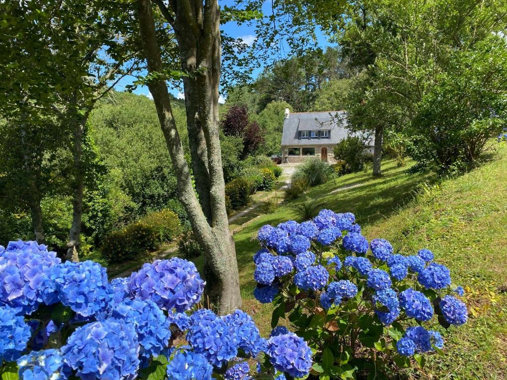 Ty Lora - Isolée en bord de mer, Telgruc-sur-Mer