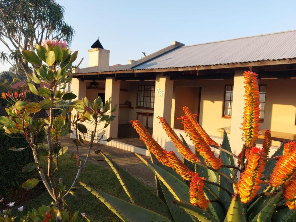 Graskop Cottage, Graskop