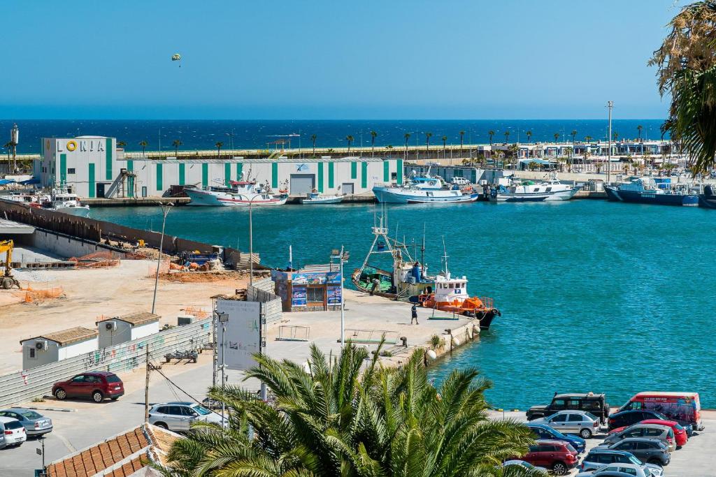 La Gaviota - 2
