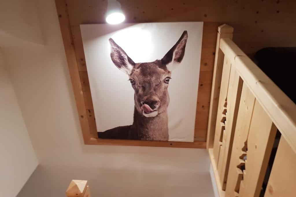 Duplex dans chalet, vue de rêve, 6 pers, 2 nuits minimum - 4