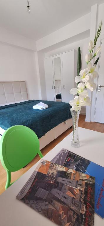 Apartment Teodo magico 2, Tivat