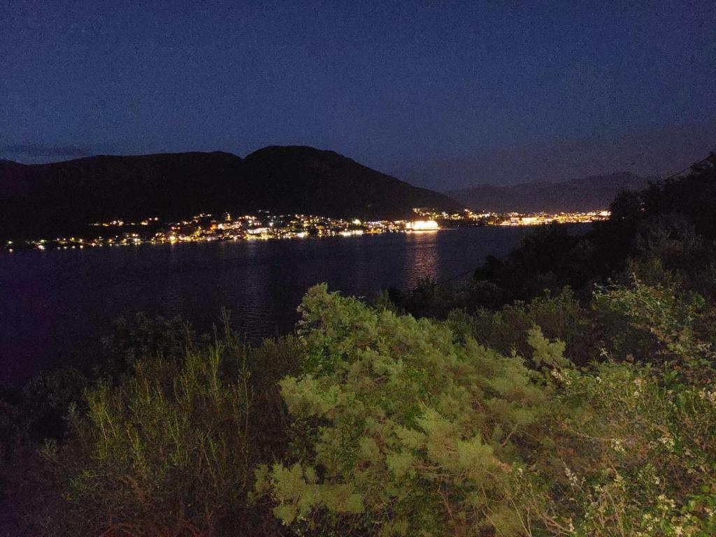 Vila Ivanovic - 4