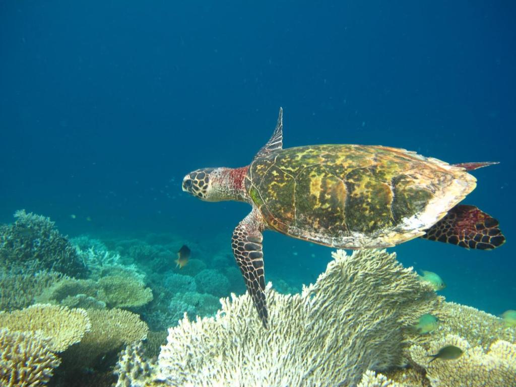 スポーツ/アクティビティ