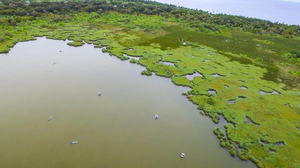 周辺観光スポット