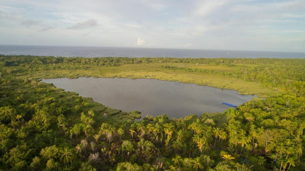 周辺観光スポット