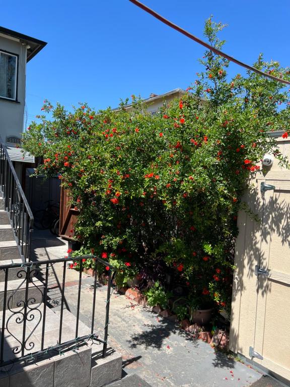 Timen House - Location image