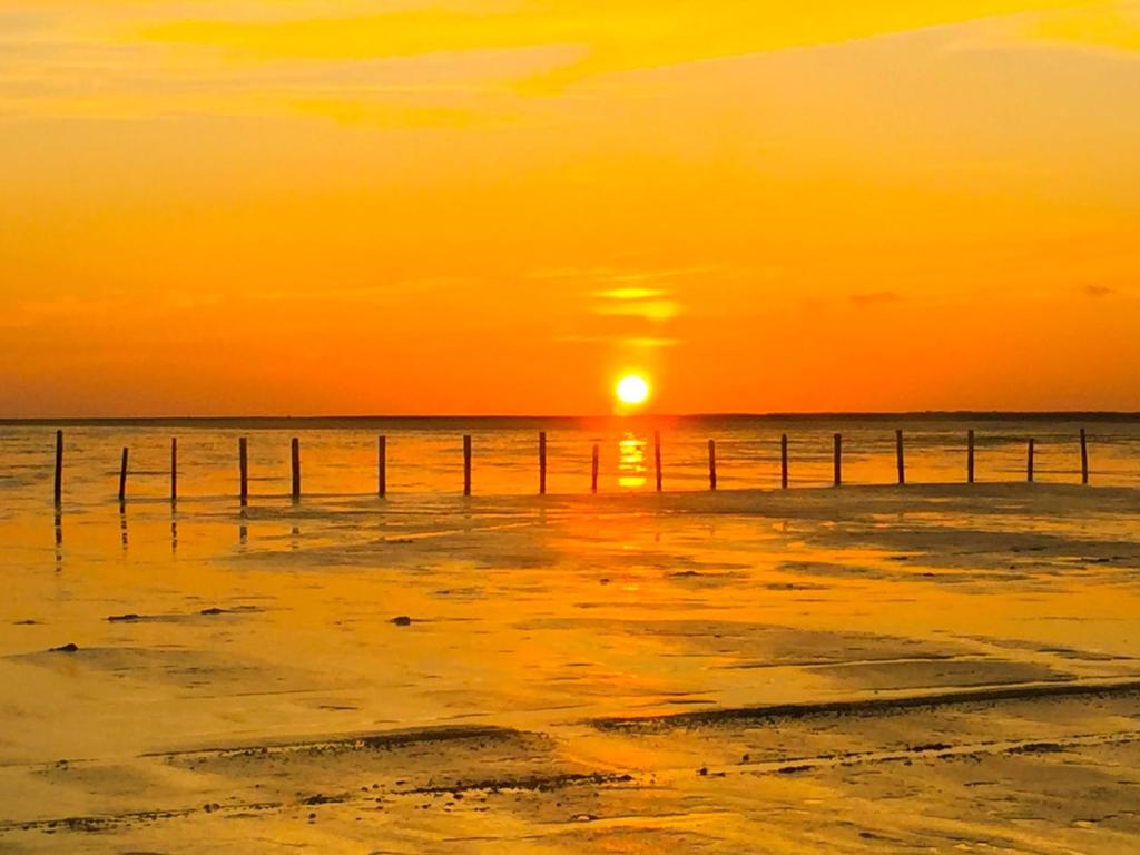 Hus am Wall - Reetdachapartments - St. Peter Ording