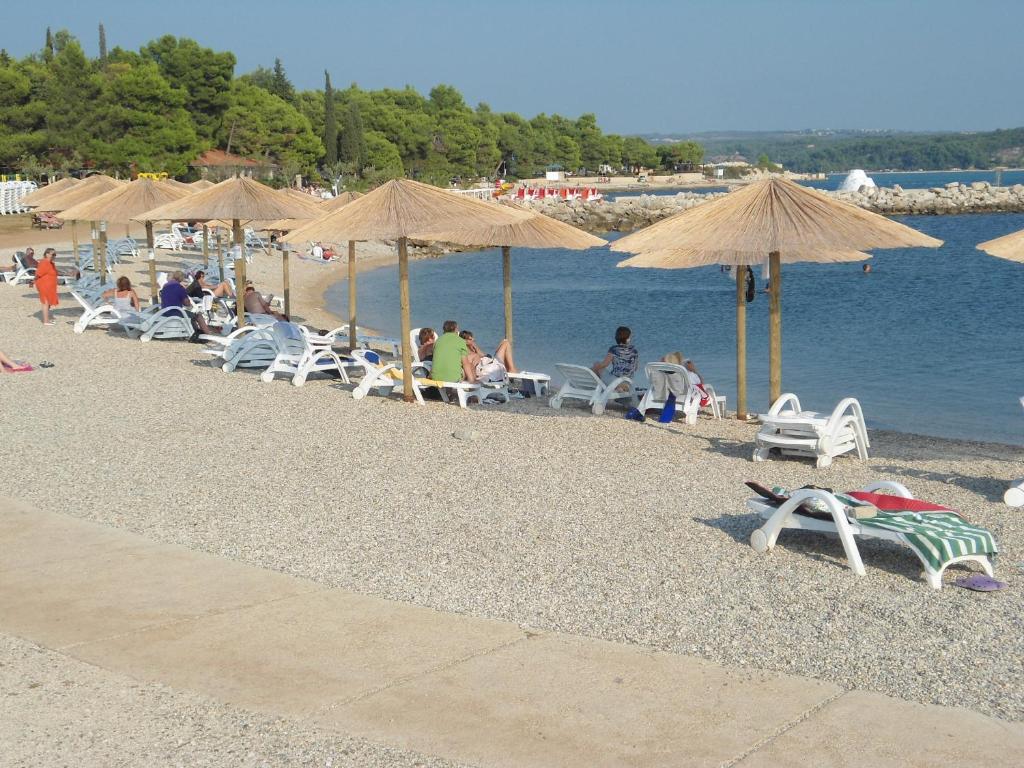 TATJANA Ap2, Antenal