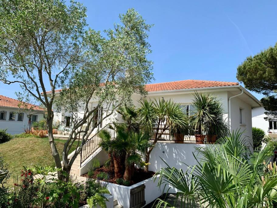 Belle maison grand jardin proche Côte des Basques - 1