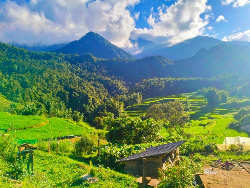 Zoo si homestay