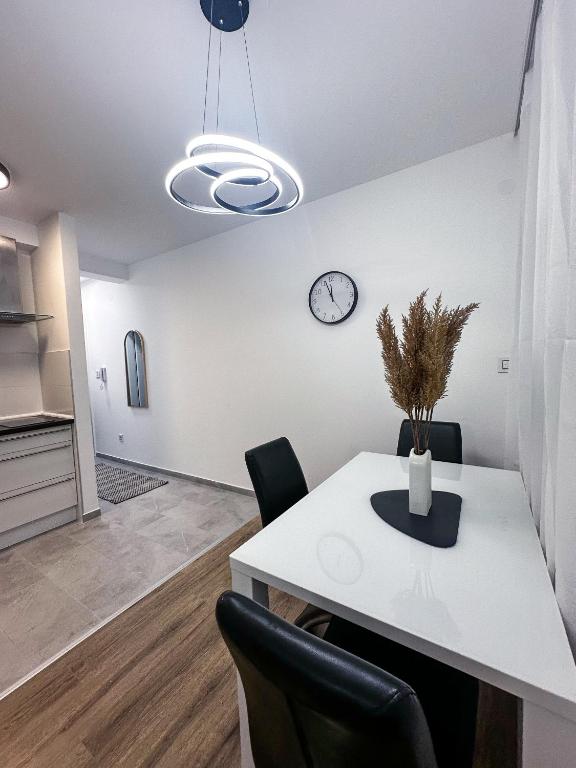 Apartman Jelena II, Banja Koviljača