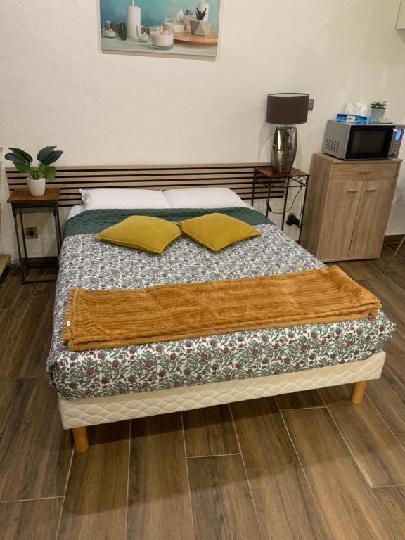 Studio 25m2 en plein cœur de Perpignan - 5