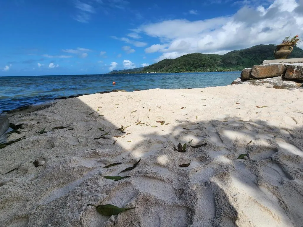 Duplex en bord de mer Fare Tahitea Pension, hotel in Taputapuapea