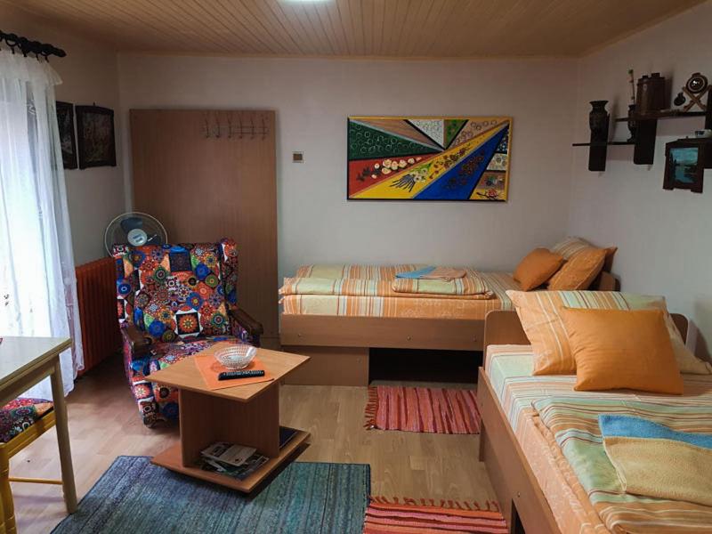 Apartman i Studio Stefan Nemanja Sokobanja - 2