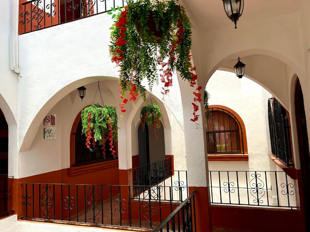 Hotel Coco de Mar Quinta Avenida - 4