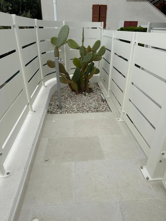 Appartamento Mare - 4