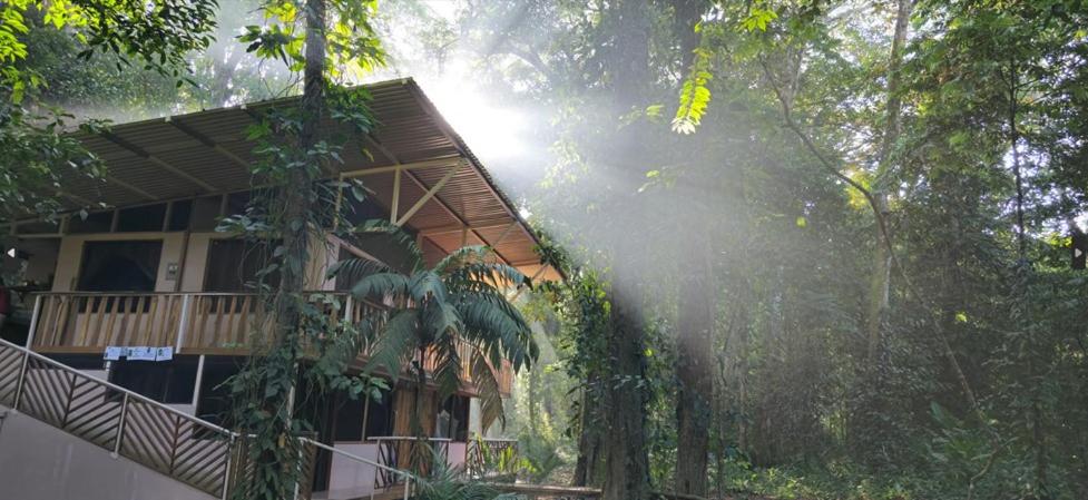 Cool Waters Jungle Hostel, Uvita