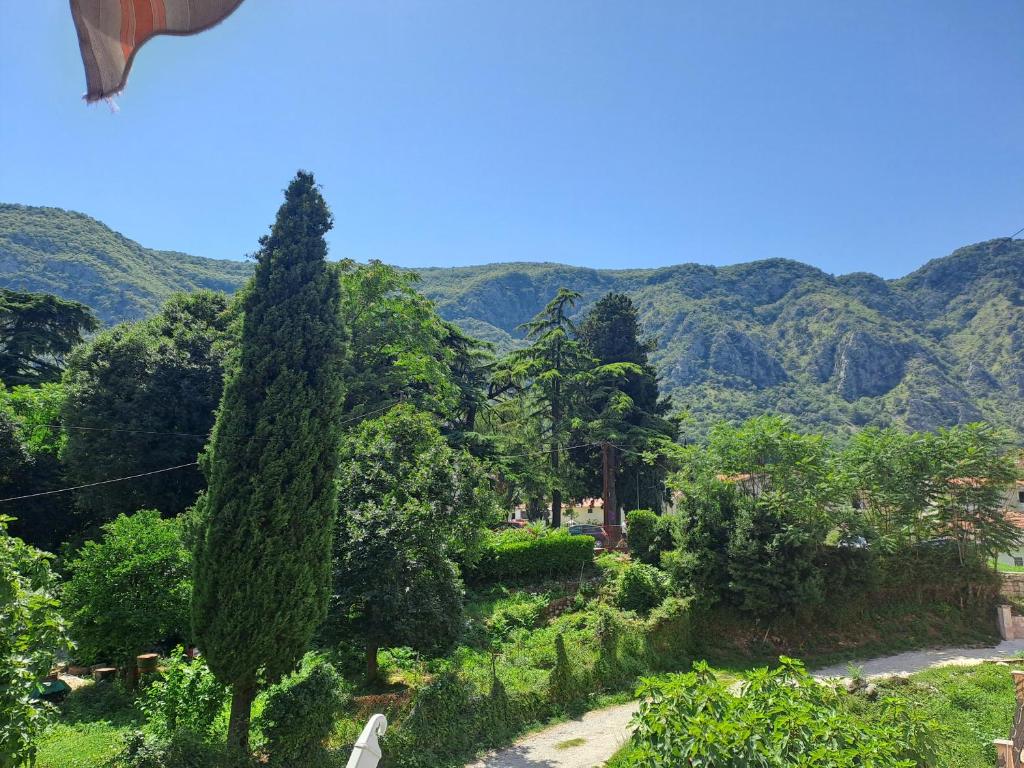 N&B Apartment Kotor, Kotor