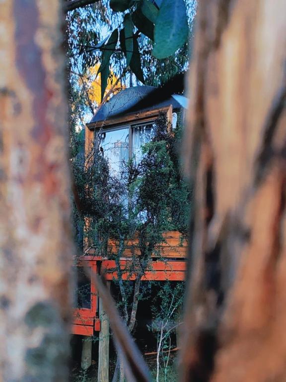 Domos la Resiliencia - 4