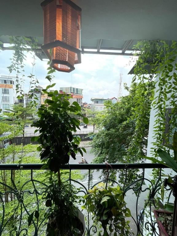 Amazing View, Natural Light