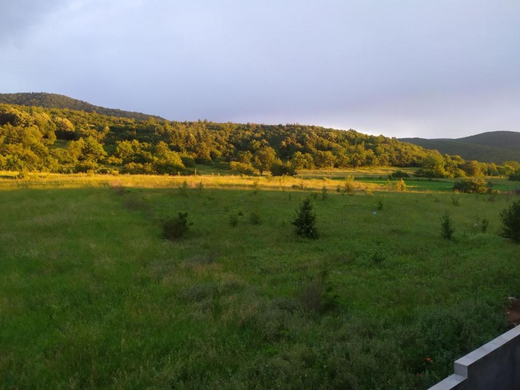 Natura Lux & Parking Free - Green Hill, blizu Akva parka - 1
