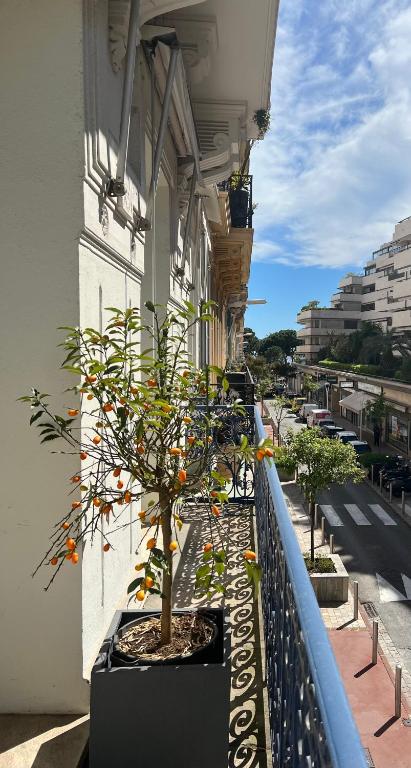 Appartement d'exception Croisette Palais - 3