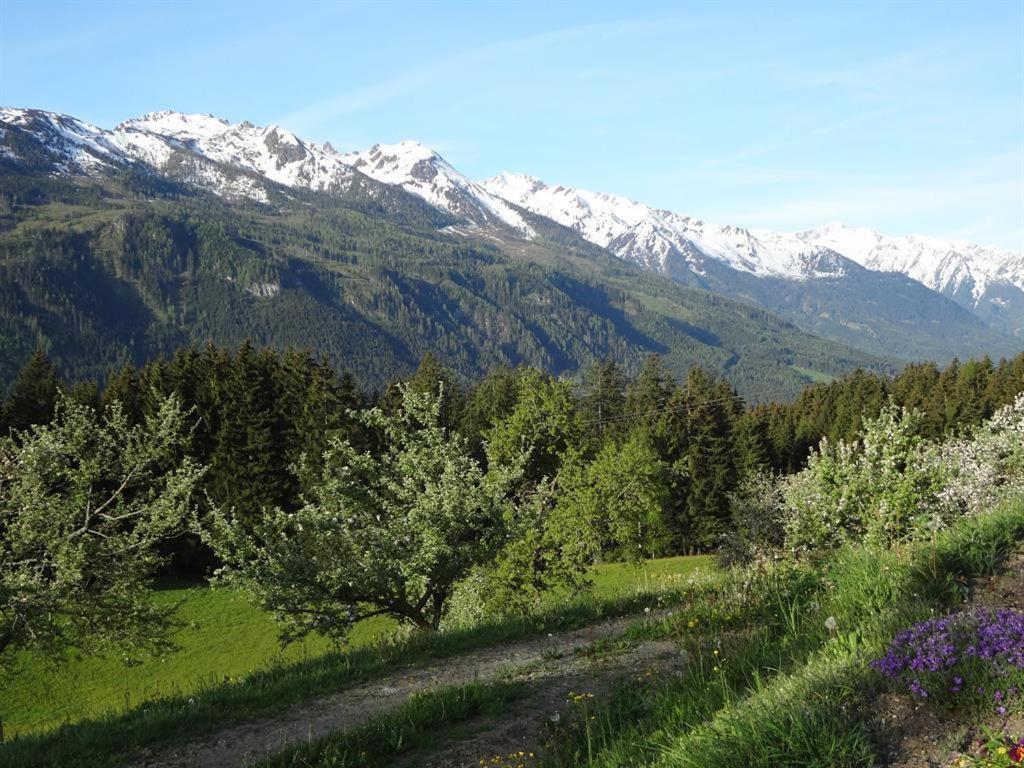 Seetalhof - 4