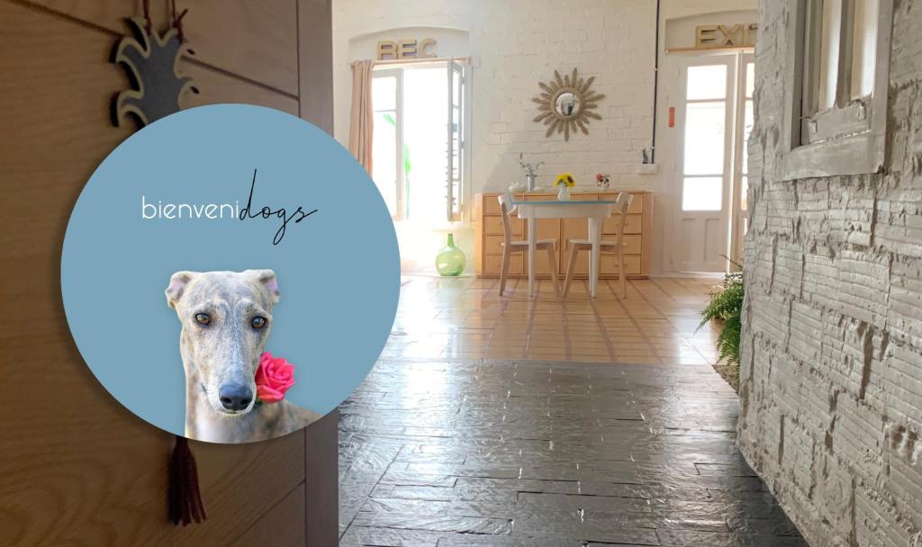 Loft con patio en la zona de tapas Pet Friendly - 1