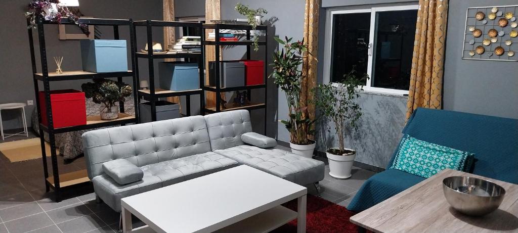 Studio Fons, Abragão