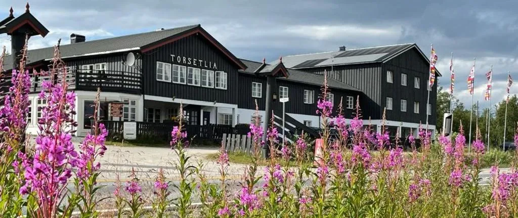 Torsetlia, hotel in Dagali