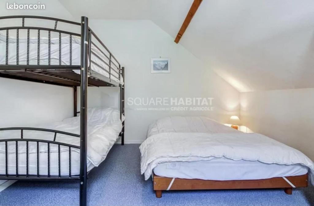 Appartement familial spacieux et lumineux - 3