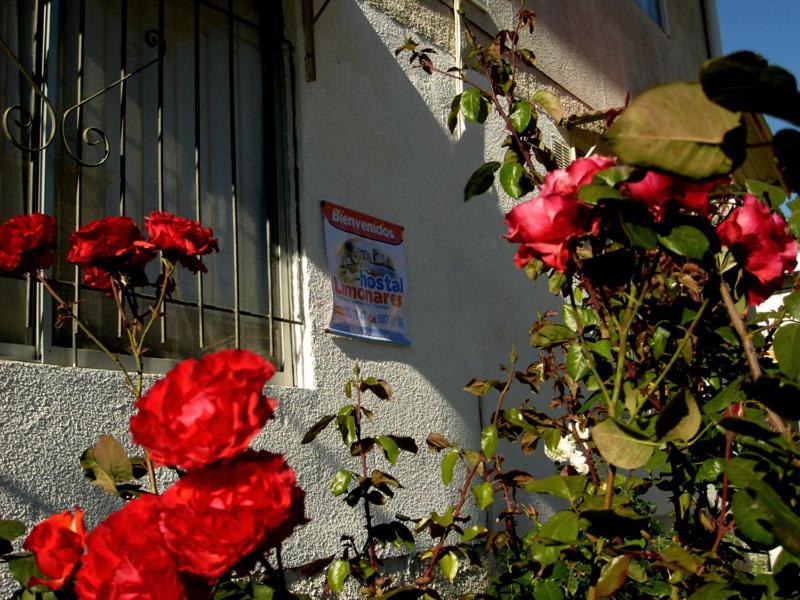 Hostal Limonares - 5