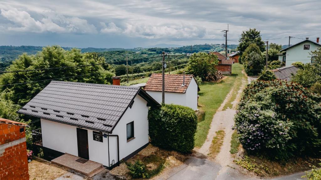 Dama s kamelijama, Sveti Martin na Muri