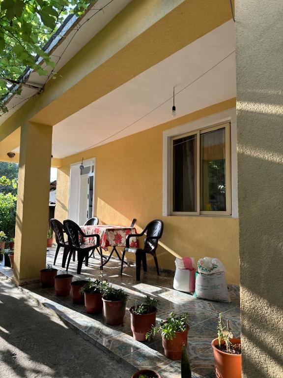 Private house surrounded by greenery, Fier