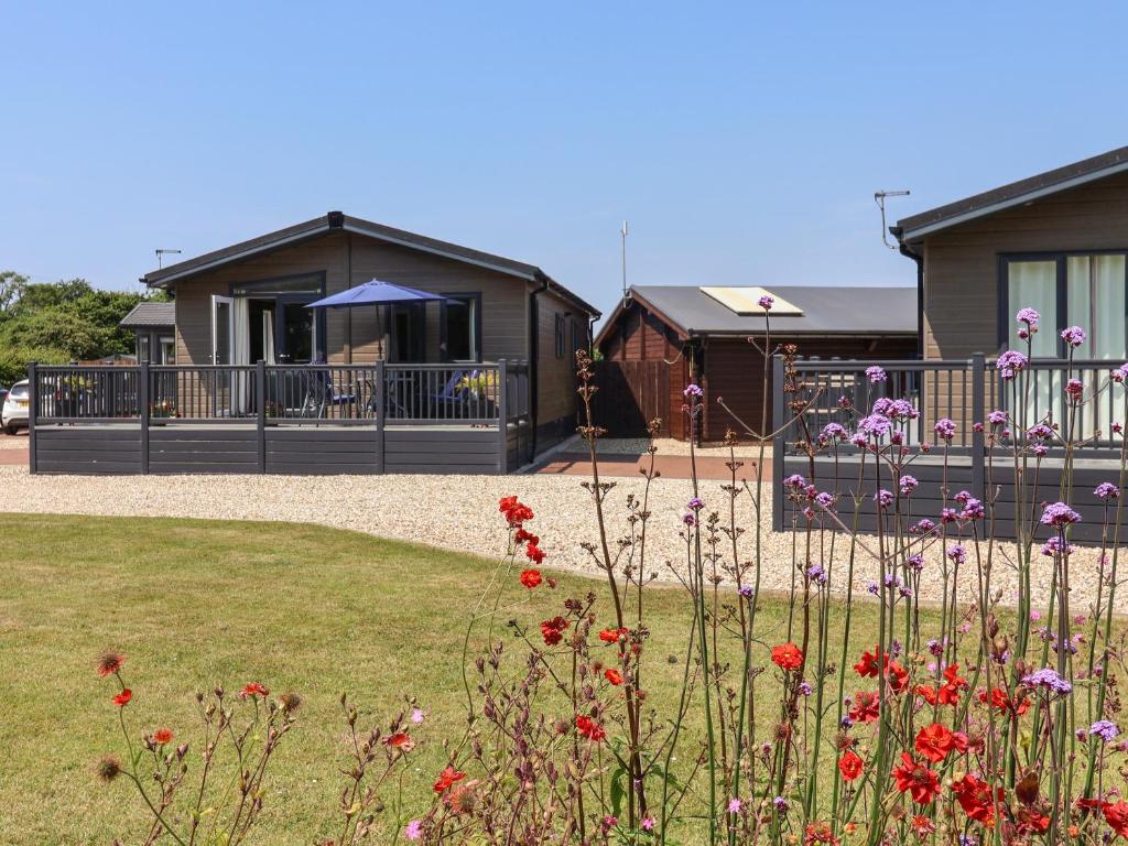 Hazelwood 2, Lyme Regis