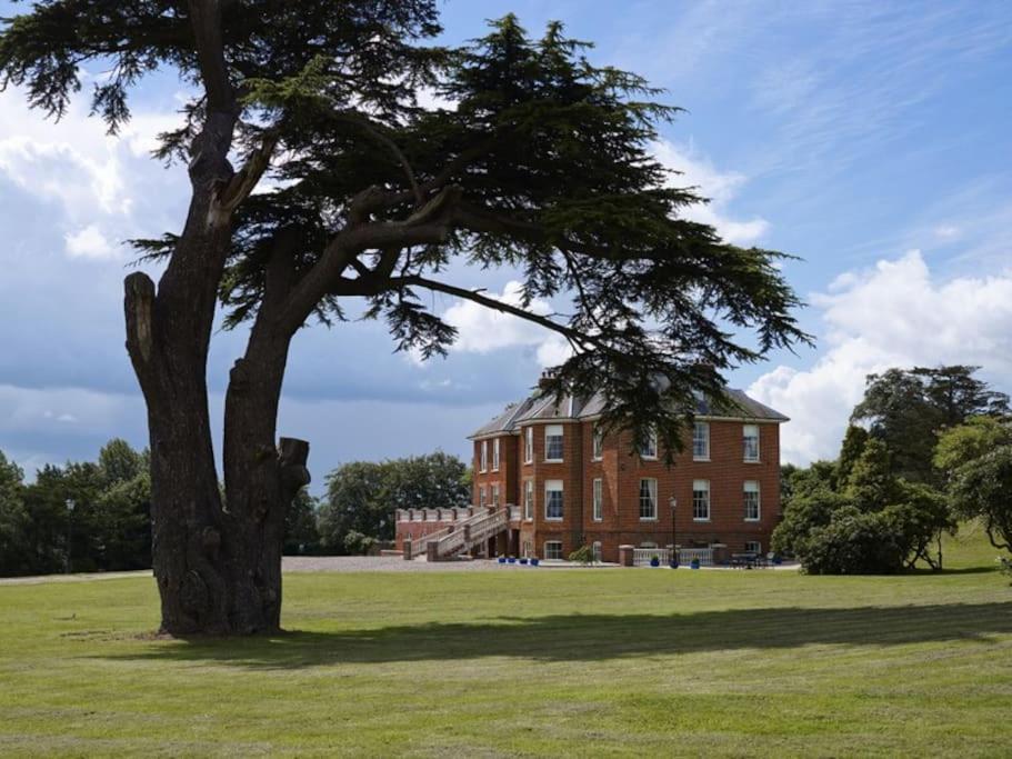 Werescote View - 1st Class Stunning Rural Setting, White Ball